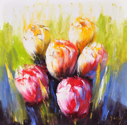 Jochem de Graaf + Springtime tulips 